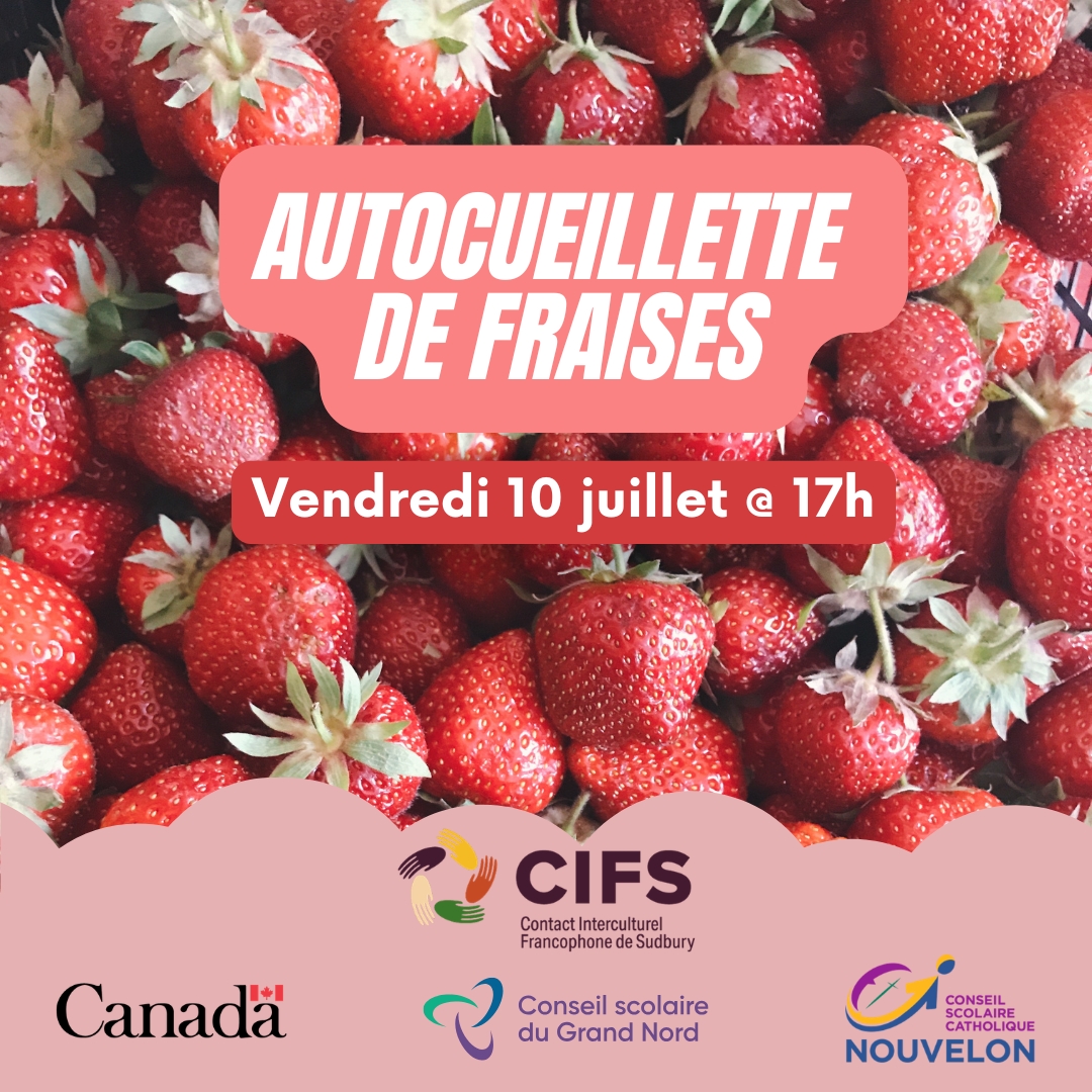 Cueillette de fraises